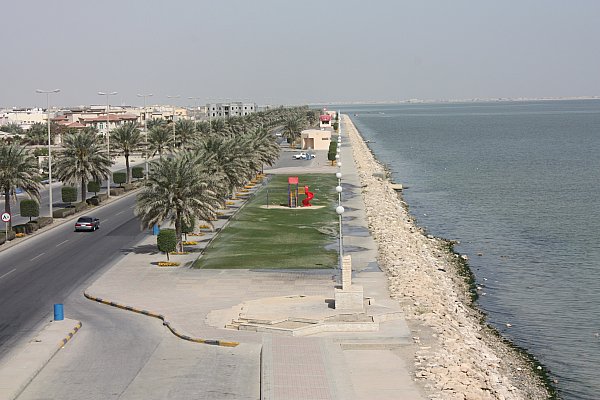 2010-1-4_5-44-42_new_4