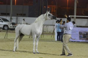 img-20161226-wa0038