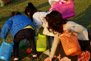 IMG-20170113-WA0037