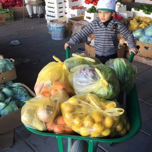 IMG-20170114-WA0046