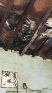 IMG-20170216-WA0056