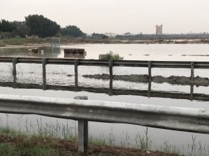 IMG-20170216-WA0064