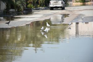 IMG-20170221-WA0048