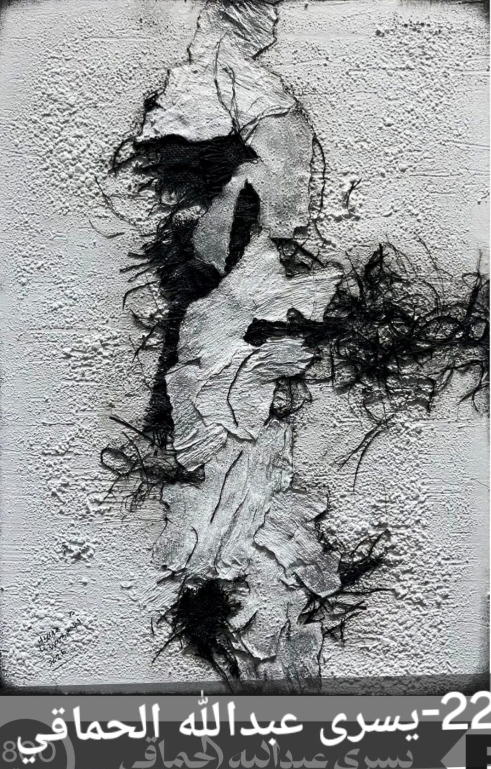 Uploaded Image