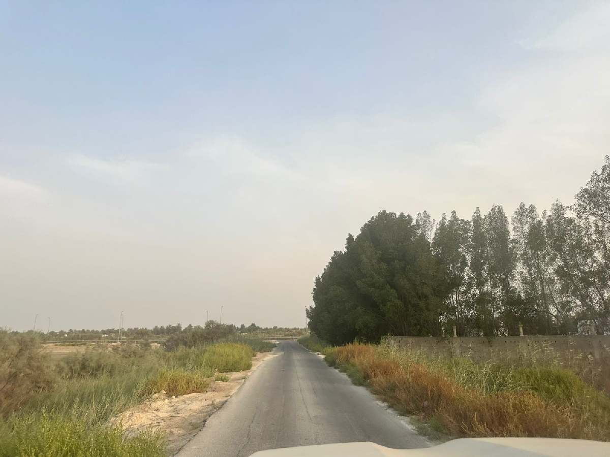 Uploaded Image