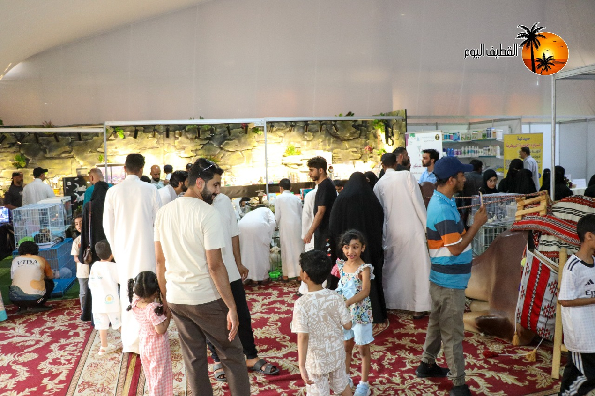 Uploaded Image