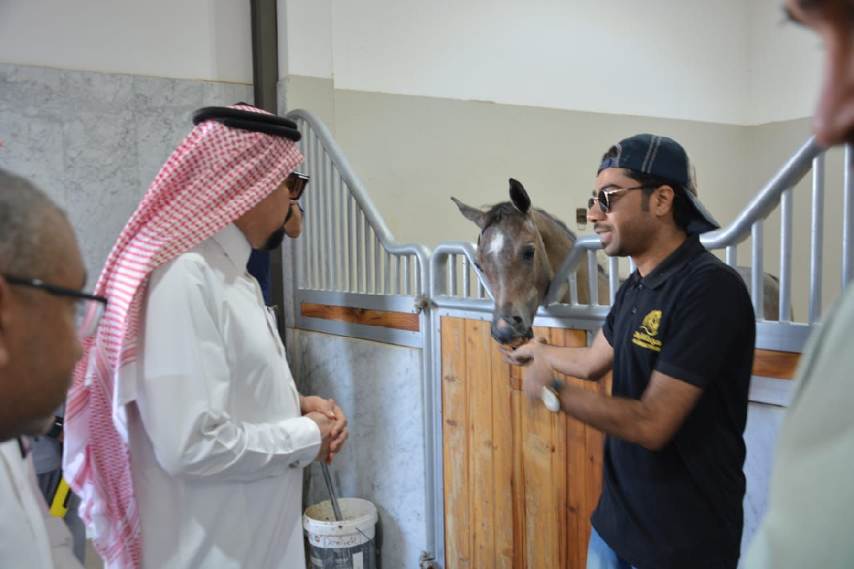 Uploaded Image