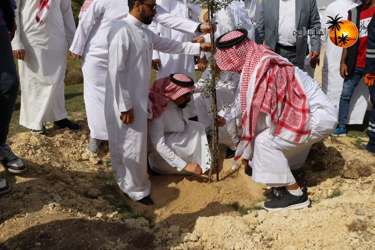 Uploaded Image