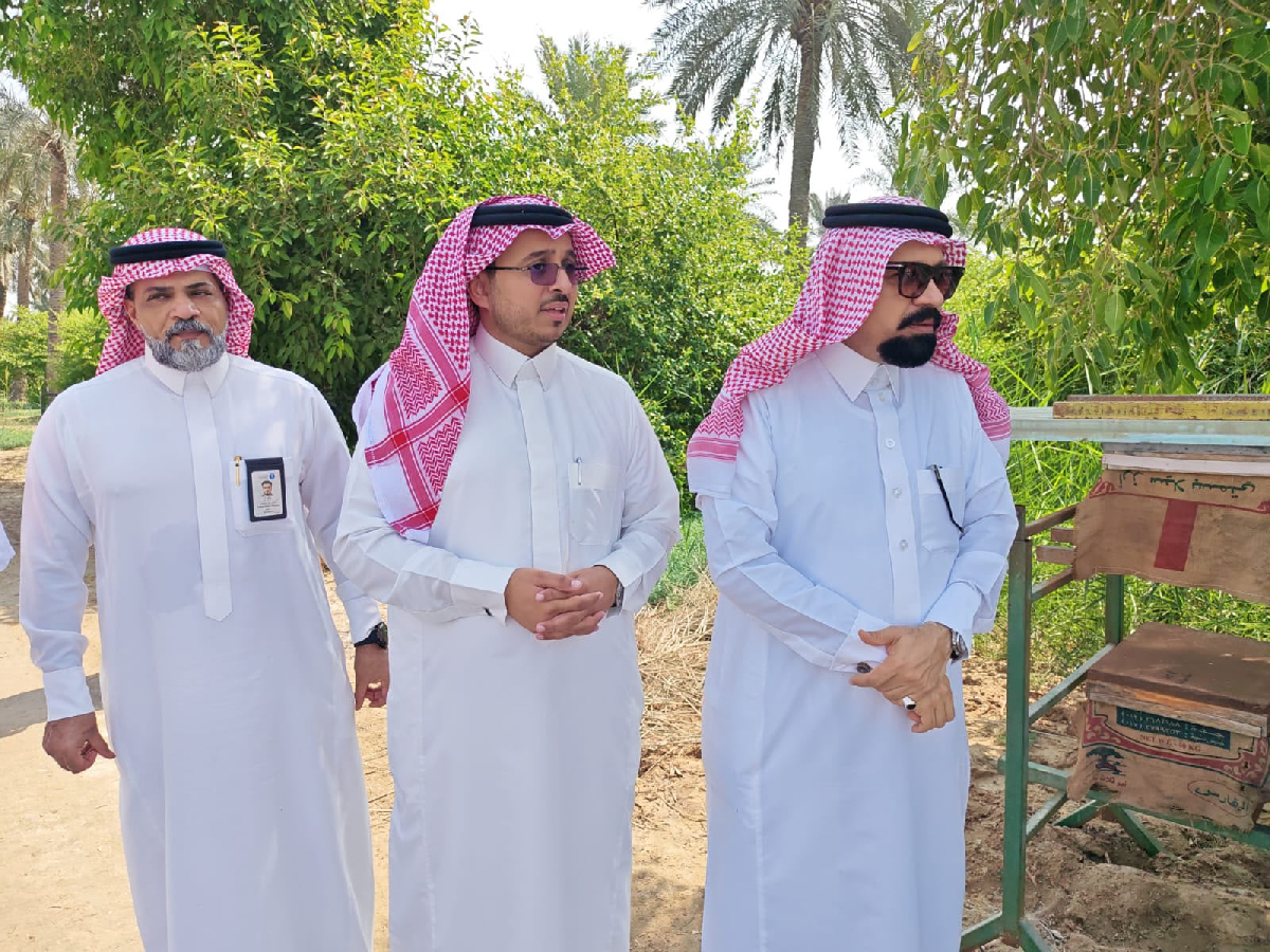 Uploaded Image