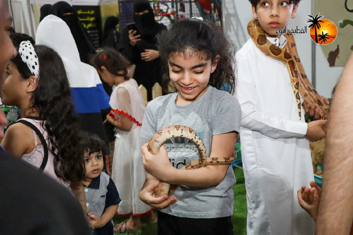 Uploaded Image