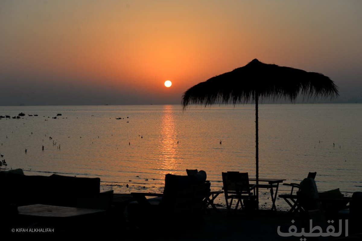 Uploaded Image
