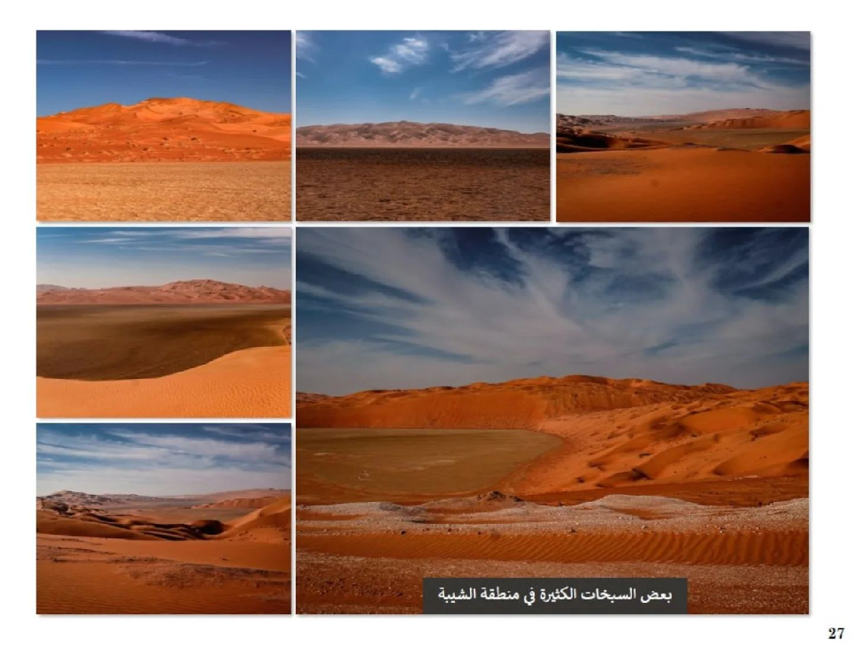 Uploaded Image