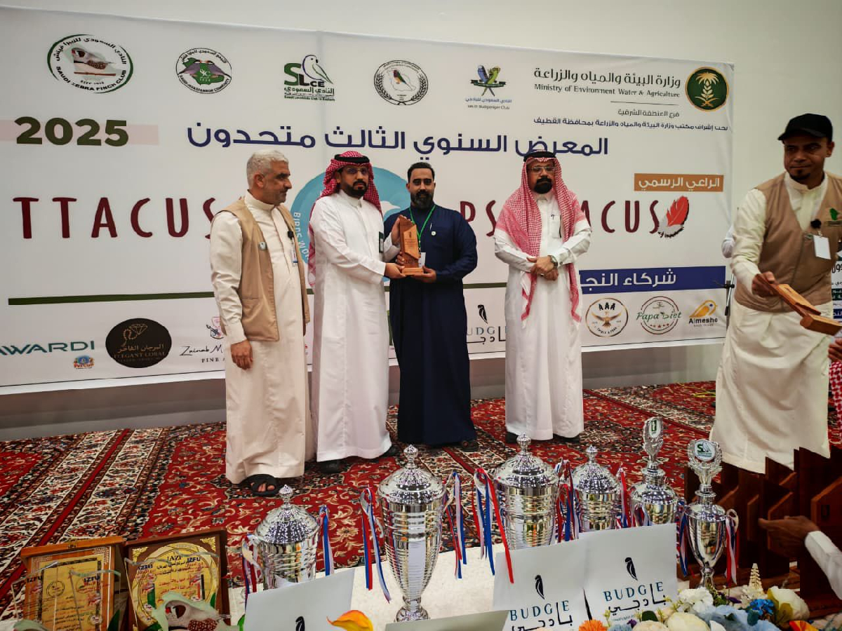 Uploaded Image