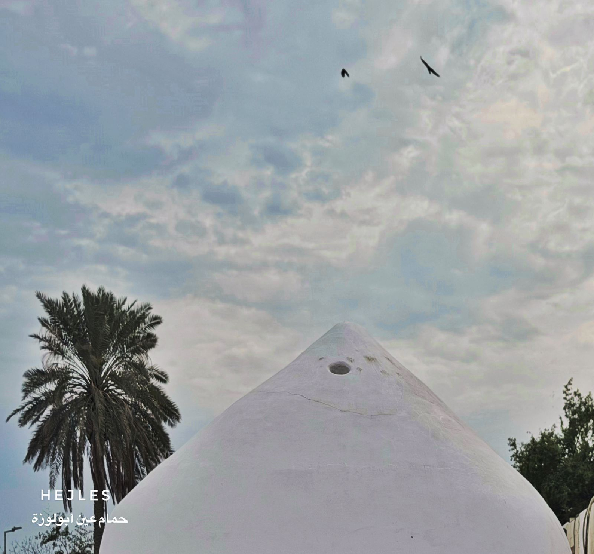Uploaded Image
