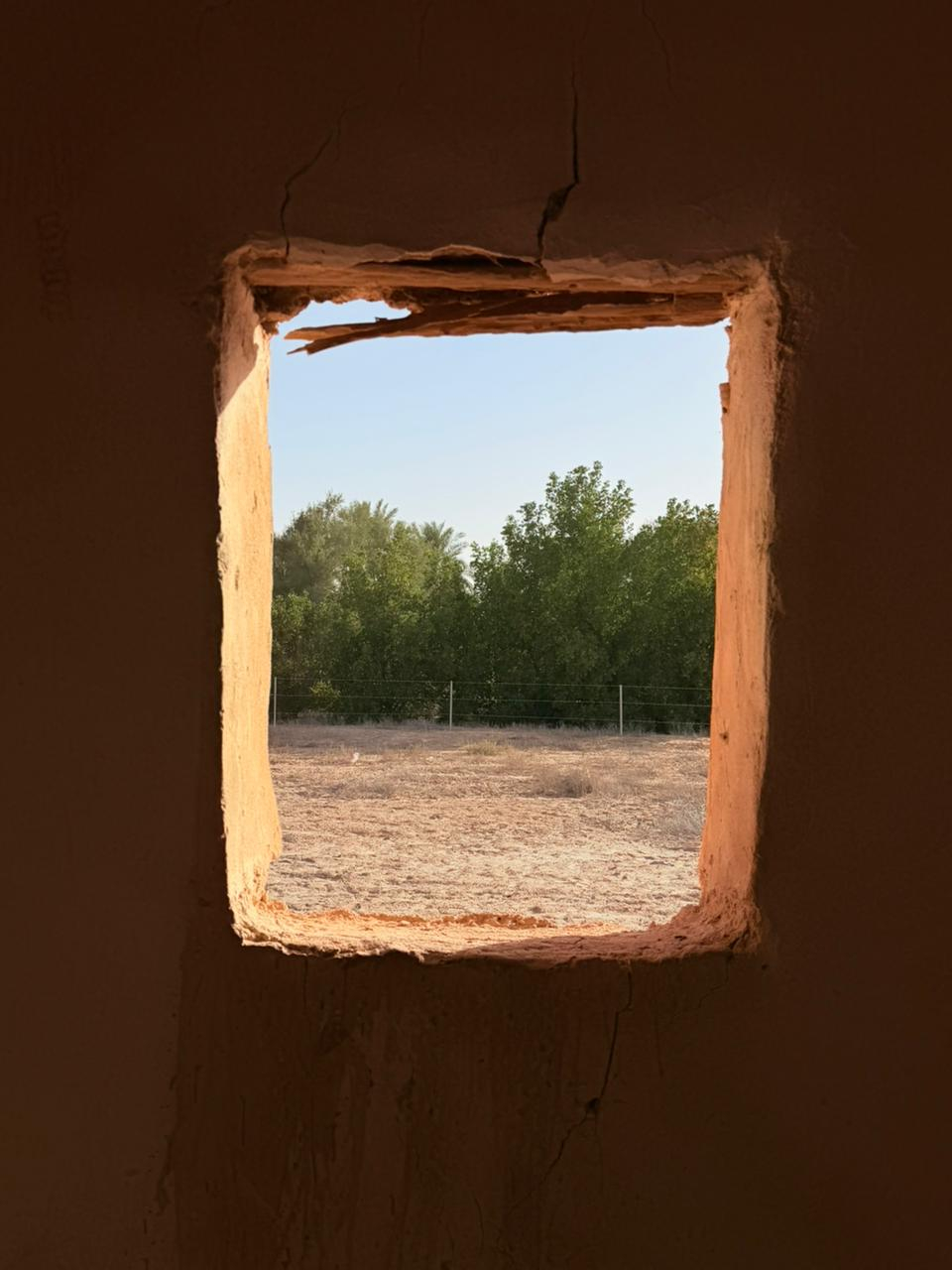 Uploaded Image